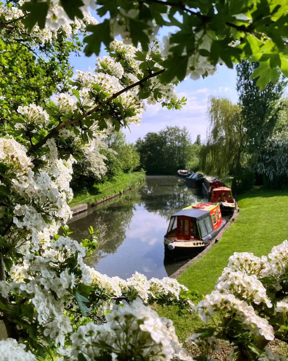 Glorious sunshine on the G.U!
#lifesbetterbywater #northamptonshire #grandunioncanal #dayboathire