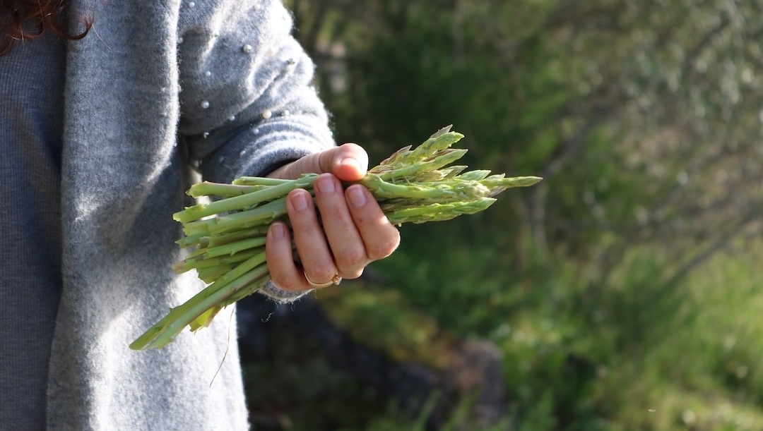 Excited to grow some asparagus in your garden? THAT'S THE SPEAR-IT! 

Learn how here: bit.ly/3npSZgO