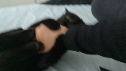 instagr.am/reel/Csbn-0aPM…