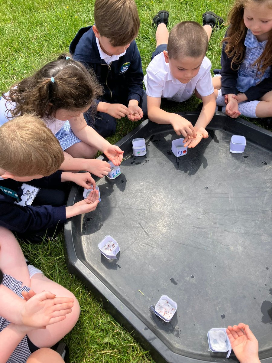 Mrs Maggs Year 2 tweet media