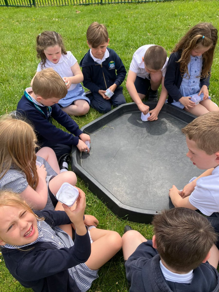 Mrs Maggs Year 2 tweet media