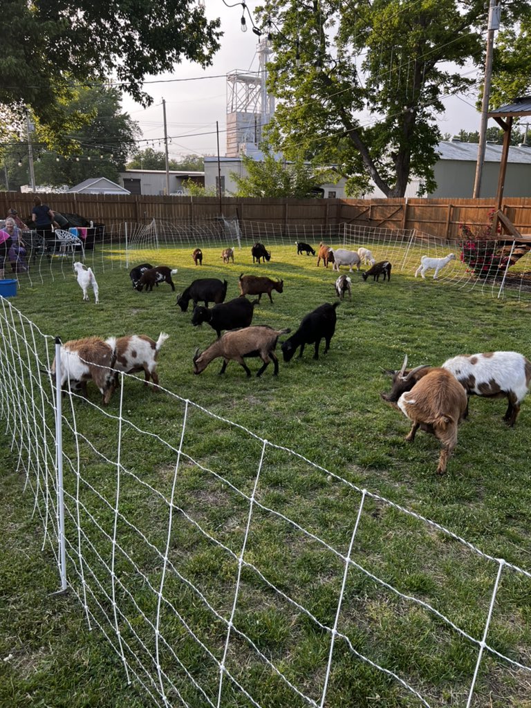 Lindsey Weiser tweet media