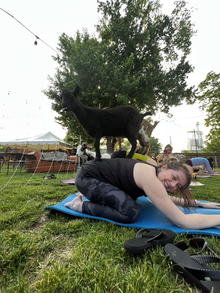 FZE if you ever have the chance todo Goat Yoga, I highly recommend it!
