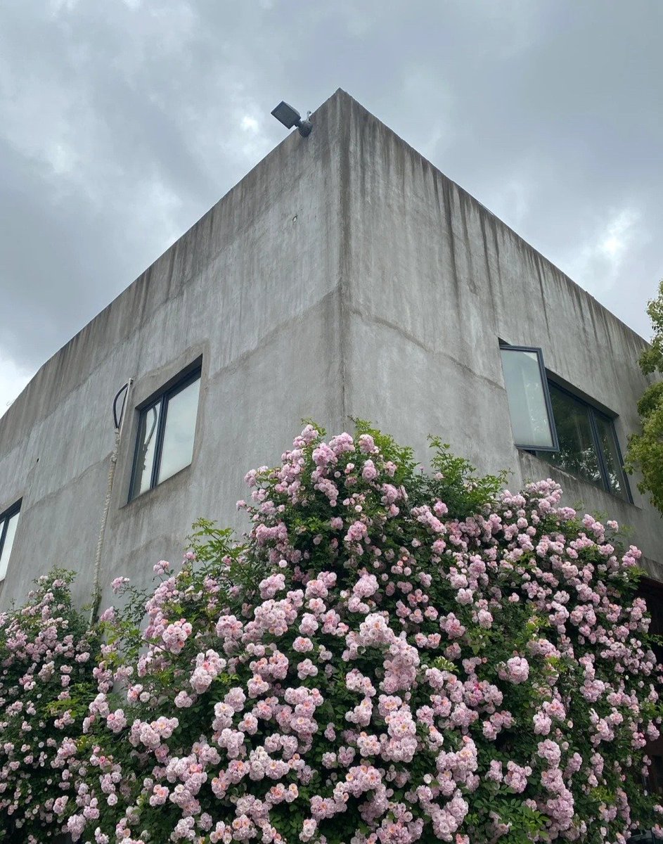 artindetails's tweet photo. to be surrounded by flowers 🌸 https://t.co/7rgyE6tylS