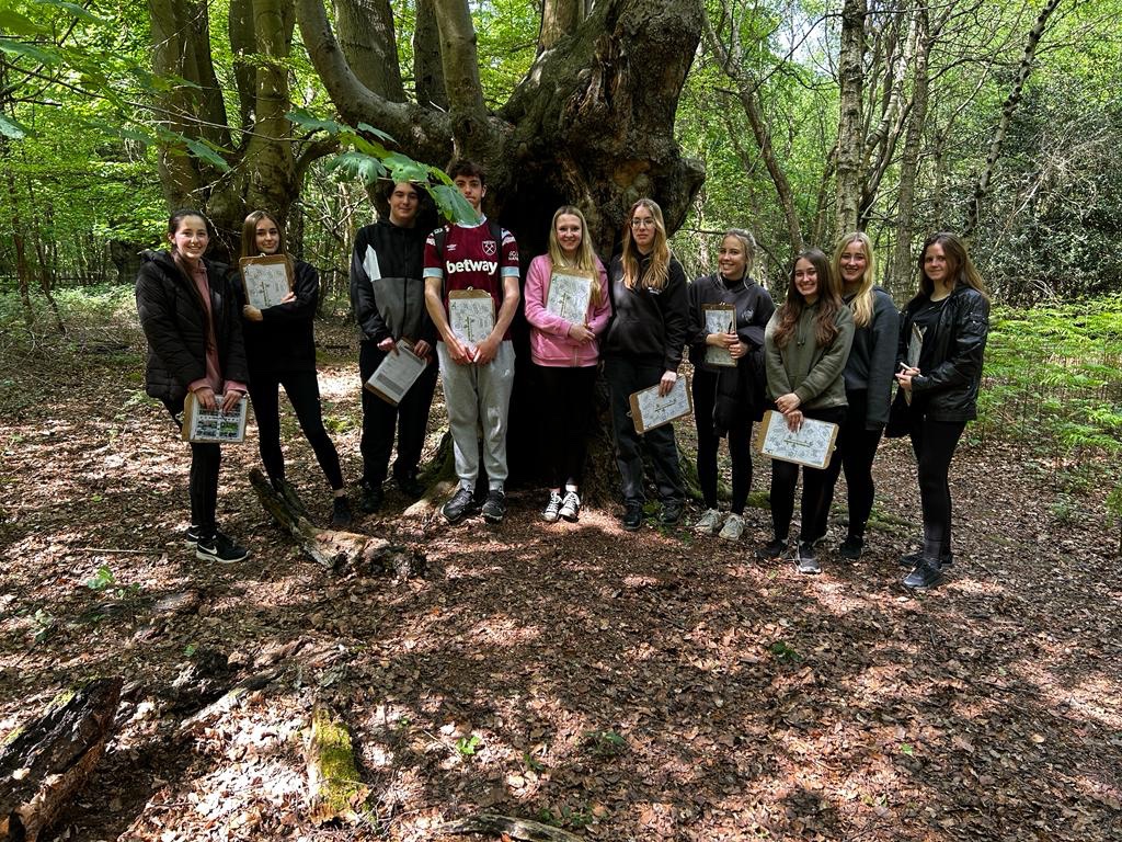 BecketkeysSci's tweet photo. Final few pictures of a successful field trip with an awesome group of students. Thank you @fsceppingforest for the last 3 days 😊 https://t.co/lNHCnsjxCy