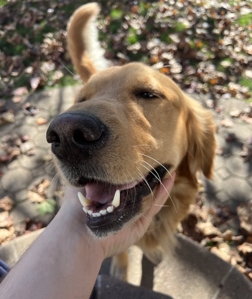 Good morning! ☀️