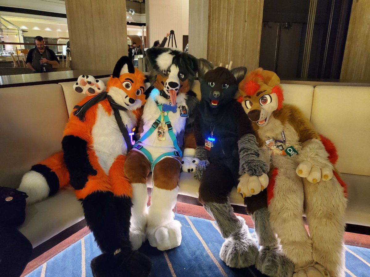 Bink - AD⚡HD Collie tweet media