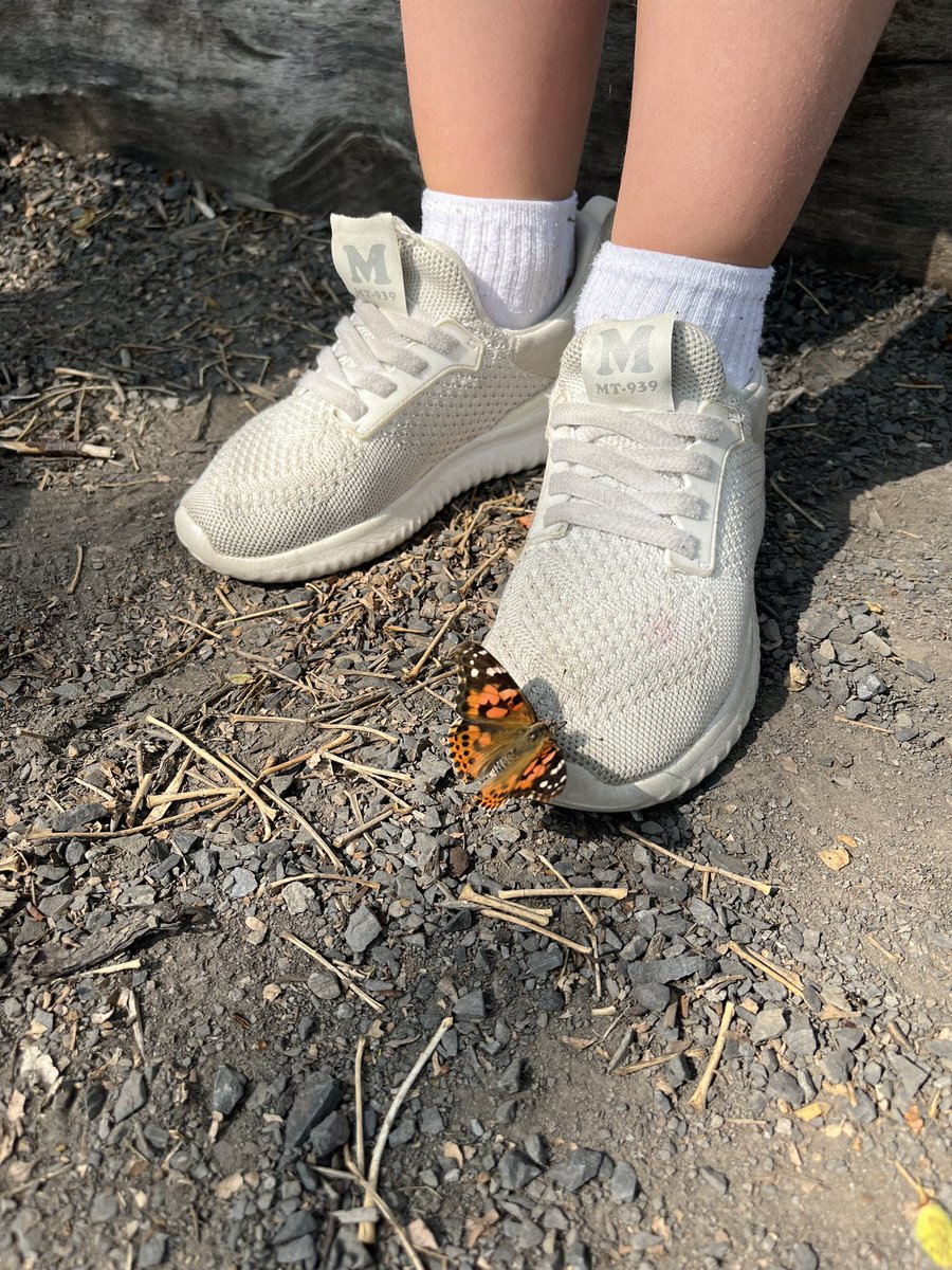One lucky student got a visit from one of the butterflies we helped release today 🦋 <a href="/RosemontCBE/">Rosemont School</a> #outdoorlearning #WeAreCBE