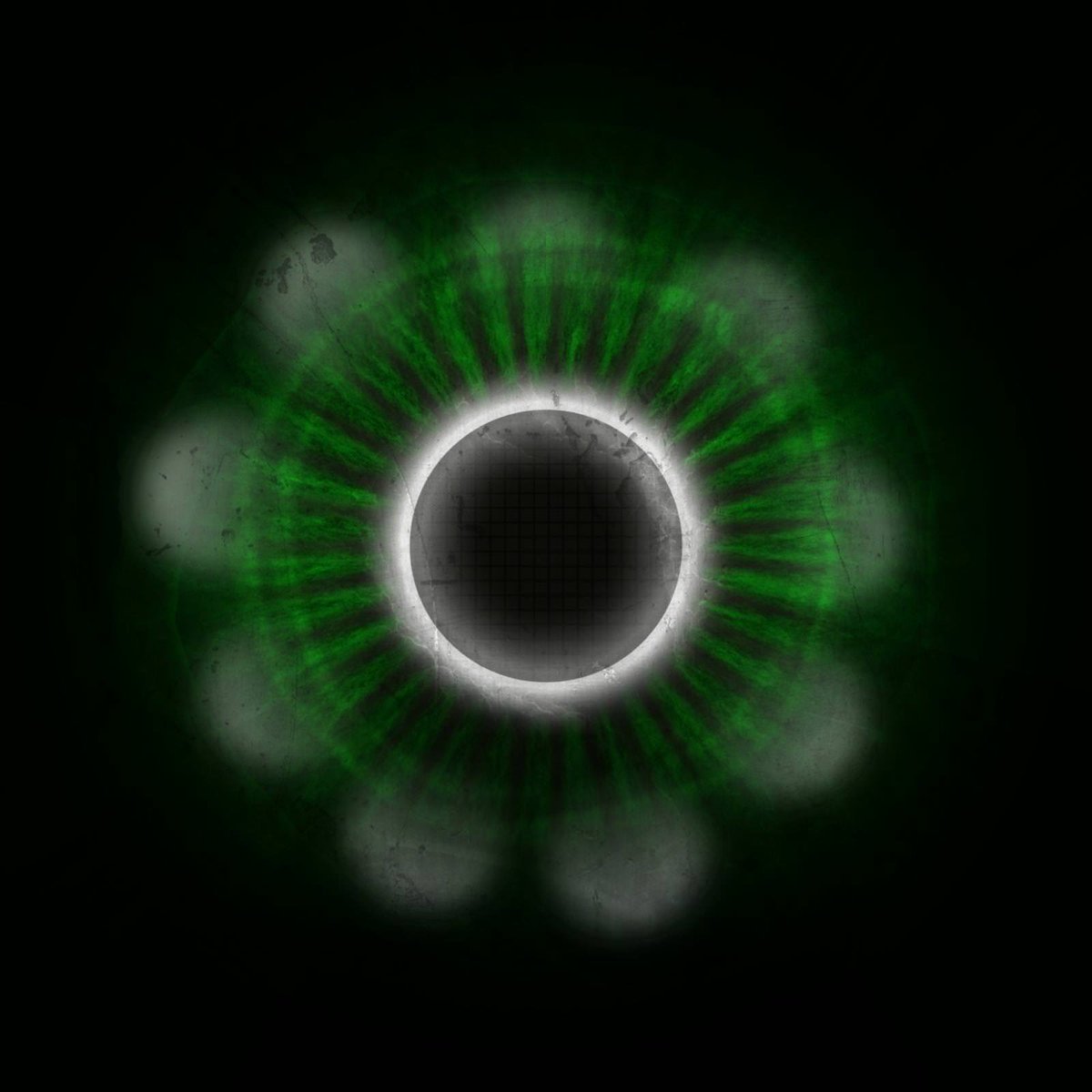 EyeTexture's tweet image. 