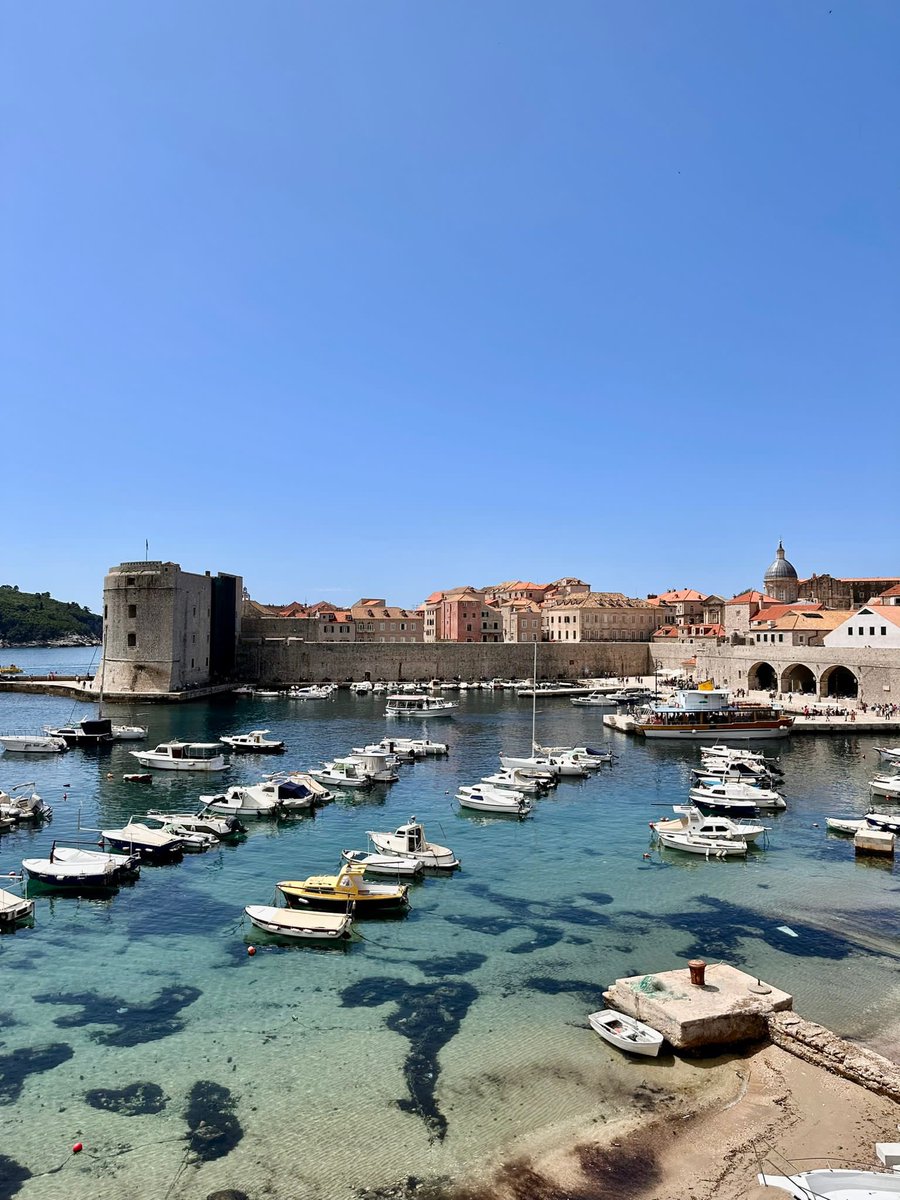 Fantastische Bilder von der European Conference of Young Gastroenterologists (#ECYG)! Wir danken unseren Freunden von der Croatian Society of Gastroenterology, insbesondere Ivana Mikolasevic, Viktor Domislović und Valentina Ratkajec, für 6 unglaublich großzügige Stipendien!