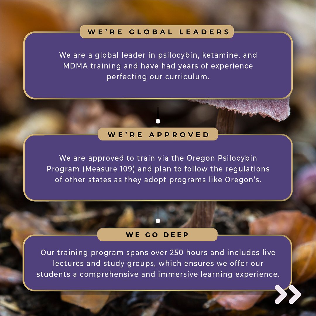 SoundMind_Inst's tweet photo. Here's what sets us apart as instructors in the psychedelic ecosystem.👀🍄

Apply for our program—click the link below to register! 🔗

https://t.co/FTkzhk8Vl3 https://t.co/gaMxQnHcDR