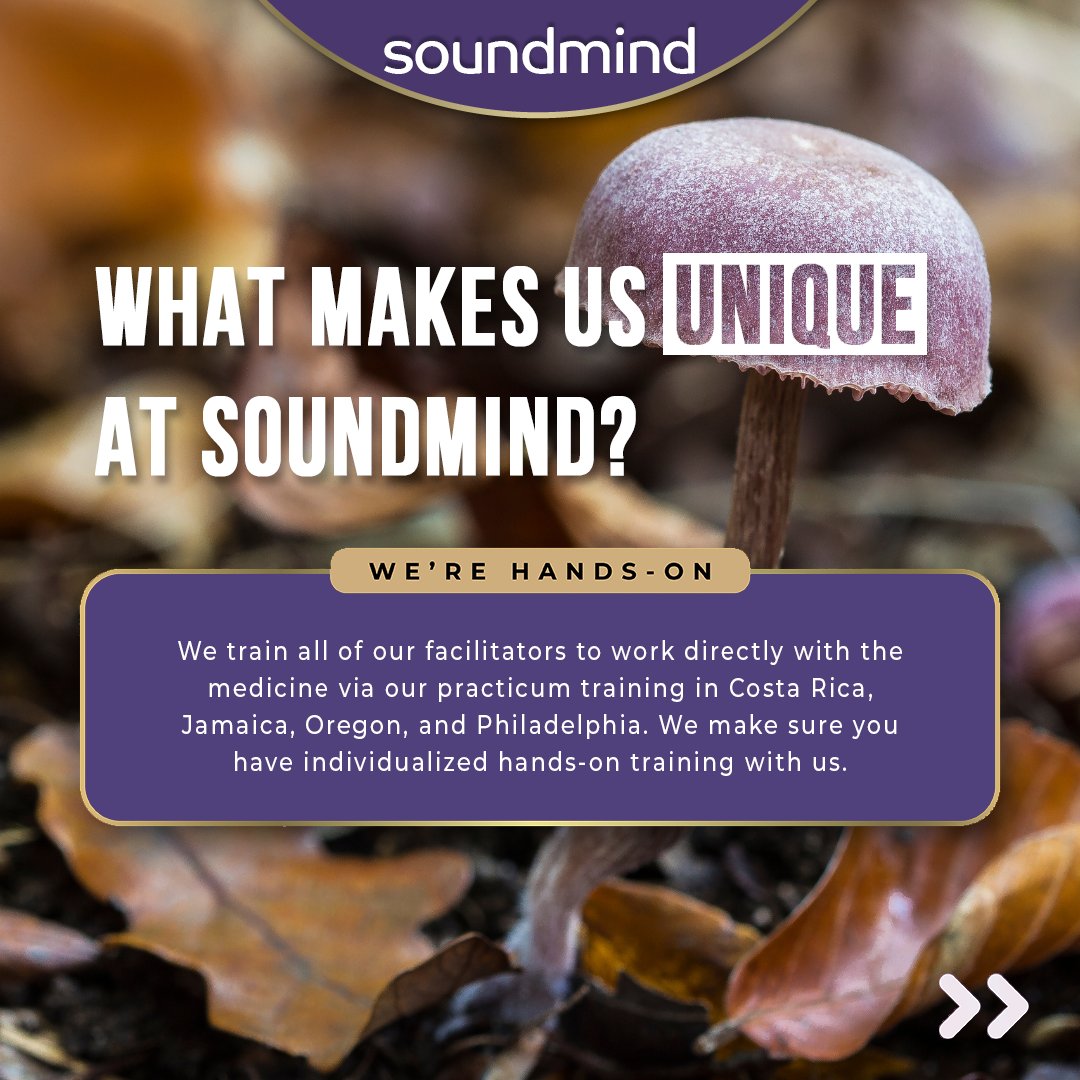 SoundMind_Inst's tweet photo. Here's what sets us apart as instructors in the psychedelic ecosystem.👀🍄

Apply for our program—click the link below to register! 🔗

https://t.co/FTkzhk8Vl3 https://t.co/gaMxQnHcDR