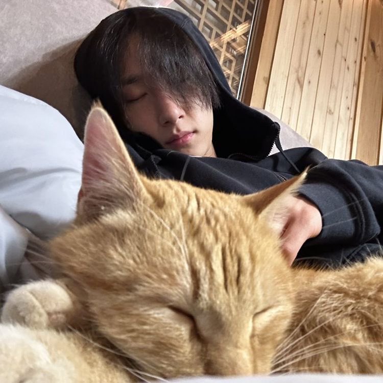 ᅟ · ── ❟ 𝗘𝗹𝗶𝘇𝗮𝗯𝗲𝘁𝗵 ; @𝘍𝘭𝘰𝘸𝘦𝘳𝘦𝘥𝘸𝘪𝘵𝘤𝘩.
 
𖤝 ٫ 𝗨𝗽𝗱𝗮𝘁𝗲: Sweet Home. ᨒ／ Llegue a casa, parece ser que mi amorcito se rindió y cayó mimido junto al minino .ᐟ 
   
 ❟ ── · <a href="/BigVanWeisz/">+Van Weizs+</a>