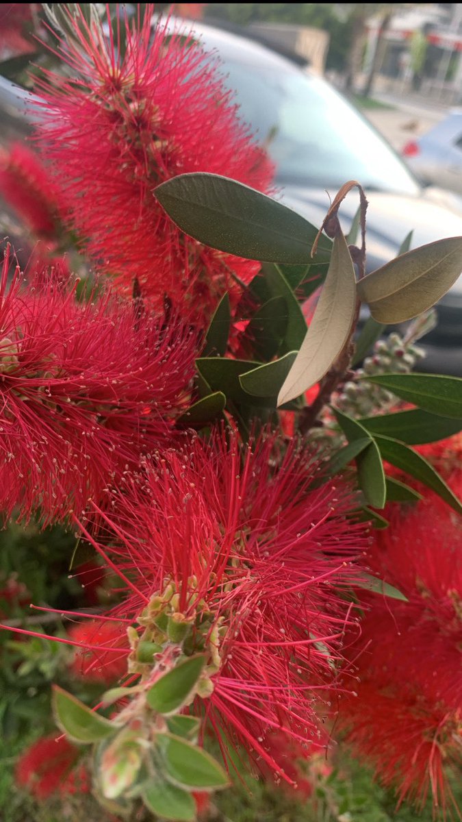 Mery (@mery101016) on Twitter photo 