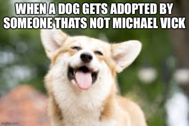 MoonlightRdPod's tweet photo. #dogs #michaelvick #nfl #doglovers Lets make our dogs happy! https://t.co/TQLt67zItC
