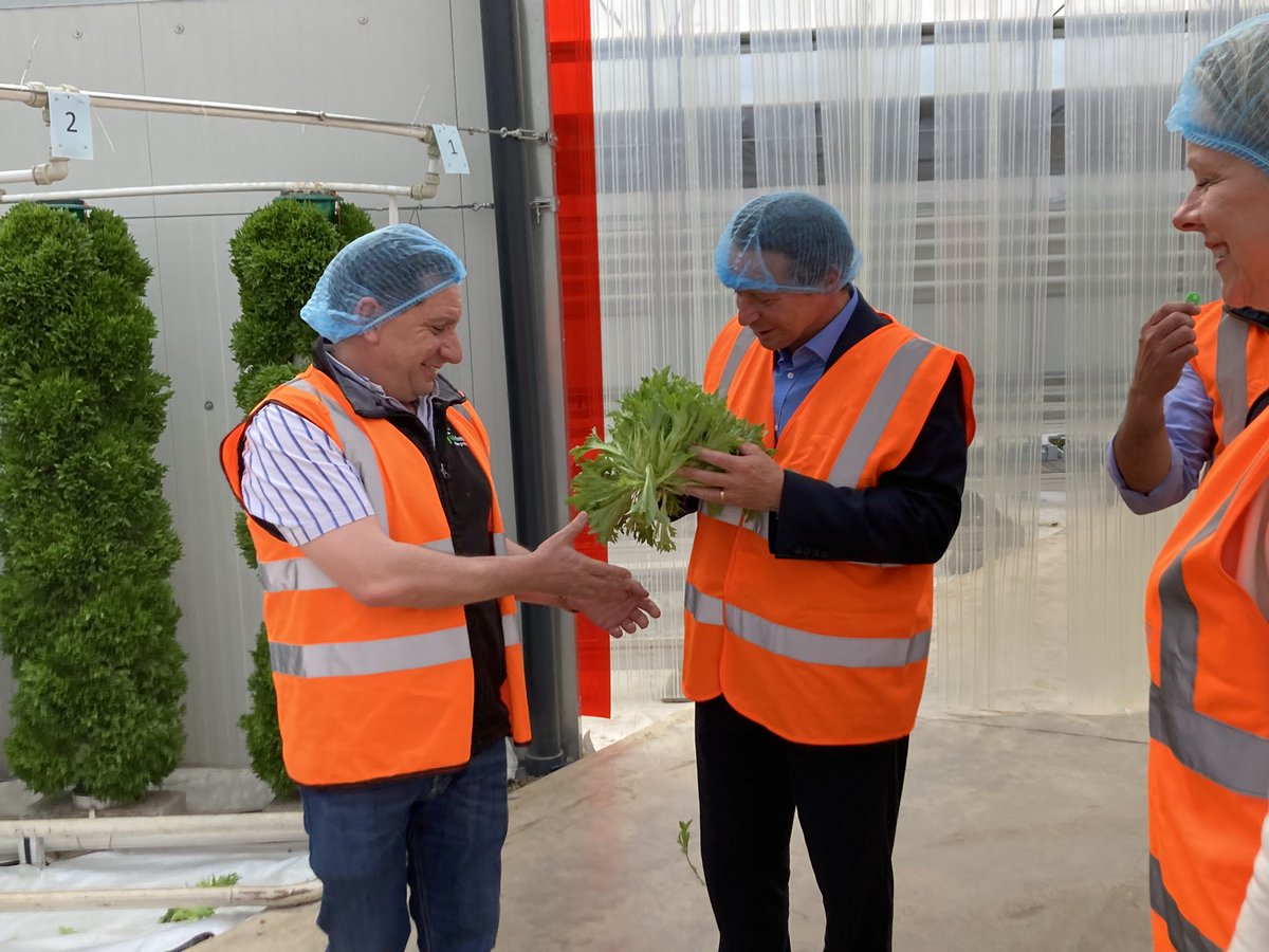 Andrew Asaam tweet media