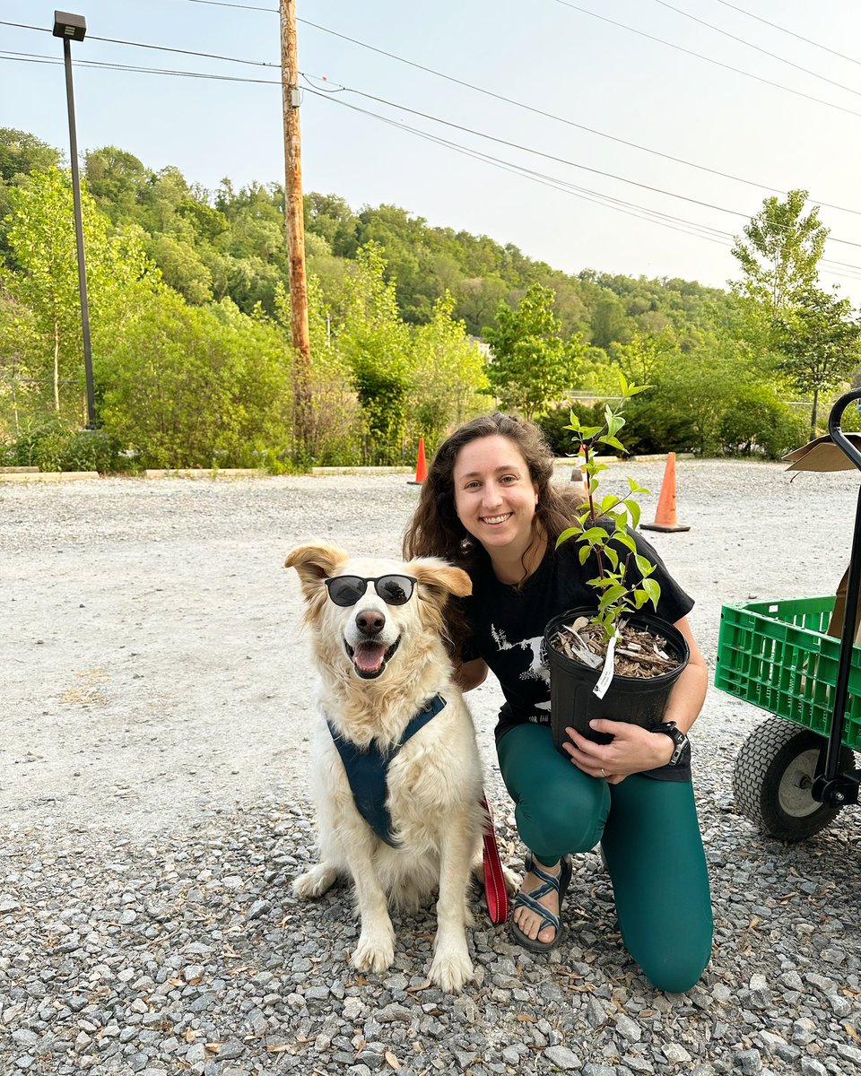May your weekend be as cool as Murray, the tree-adopting dog 🕶️ 🐶 🌳