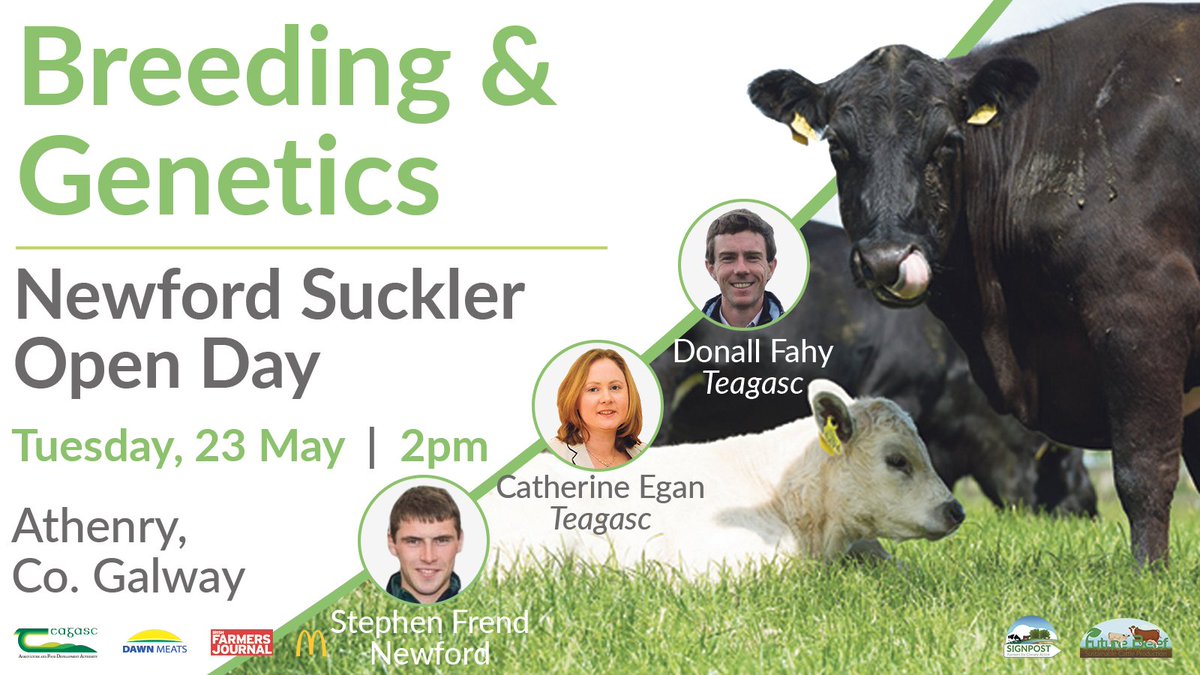 teagasc's tweet photo. Newford Suckler Open Day takes place on Tuesday next, 23 May from 2pm - 6pm. Donall Fahy &amp; Catherine Egan, @TeagascBeef and Stephen Frend, Newford Farm Manager will discuss breeding &amp; genetics at Newford. Book today at https://t.co/60Y4EgmRtE @dawnmeatsgroup https://t.co/dQeCIhgTb7