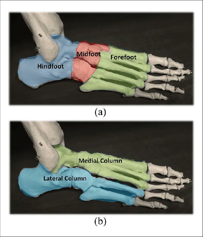 Bruce Williams tweet media