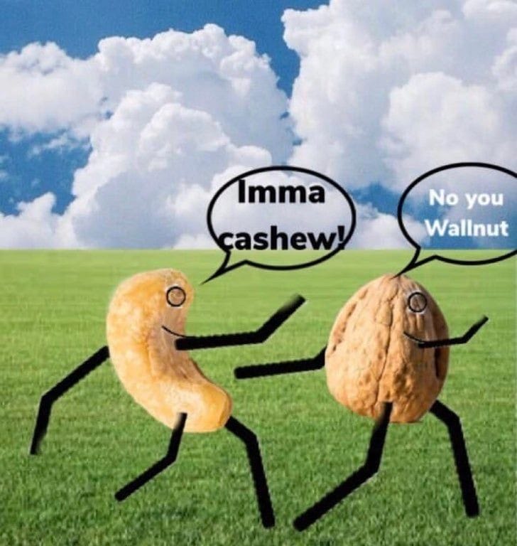 Proper dinosaur name tweet media