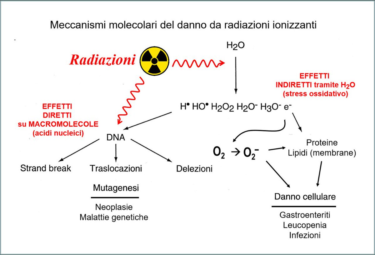 soleradioso's tweet photo. 🟥 NUBE RADIOATTIVA CAUSATA DA ESPLOSIONE DI MAGAZZINO DI ARMI IN UCRAINA (dopo la distruzione delle munizioni all'uranio impoverito consegnate all'Ucraina)
SI STA SPOSTANDO VERSO LA UE,  l'Europa occidentale
#uranioimpoverito
#Ukraine 
#radiazioni https://t.co/iD90KOveNs