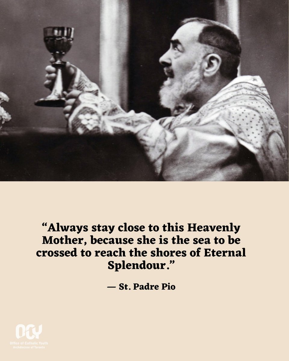 OCY Toronto tweet media