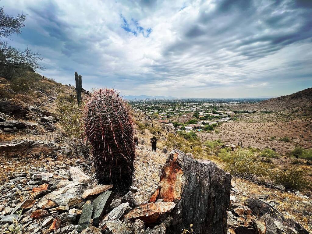 katieraml's tweet image. ⛰️ Trying to outrun the mountain rain. ⛰️ 
#hike #getOutsideAz #MayRain instagr.am/p/Csbu-PrPleL/