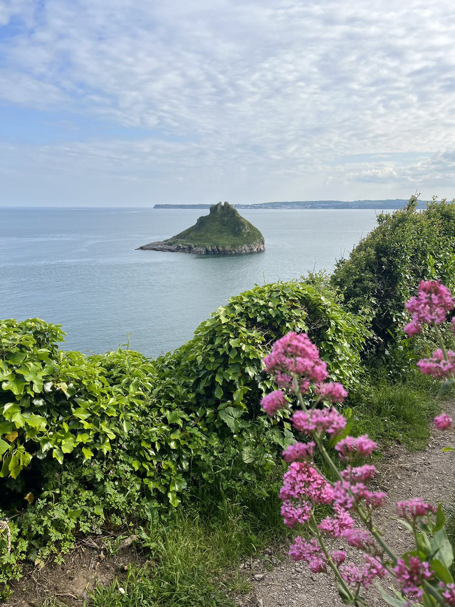 Early evening walks are back ☀️How lucky are we to live in such a beautiful part of the world? 

#torbay #torquay #englishriviera #lovewhereyoulive #thatcherrock #devon #estateagentstorquay #estateagentsdevon