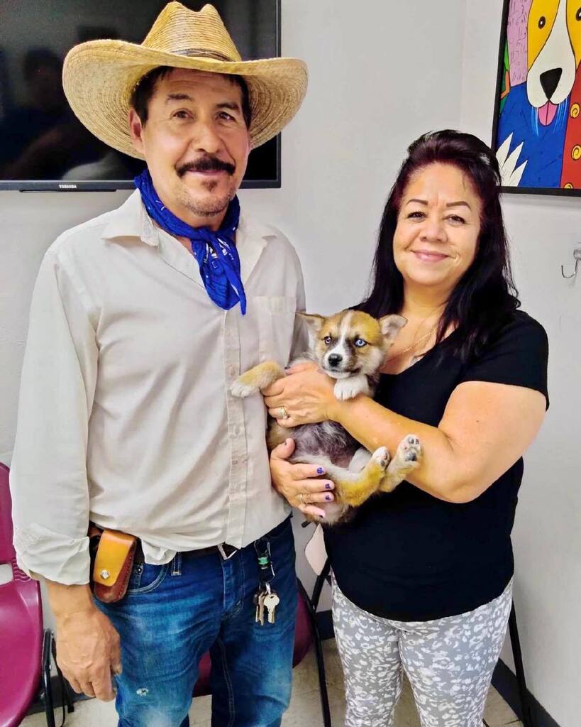 Dr. Pepper has one cool blue eye to match his new dad’s bandana! Happy Adoption Day to these three - we have kennels full of cuties to make today your adoption day too! We are open to walk-in adopters Monday-Saturday 11am-5pm or come to see us at PetSmar… instagr.am/p/CsbpyrhrhJy/