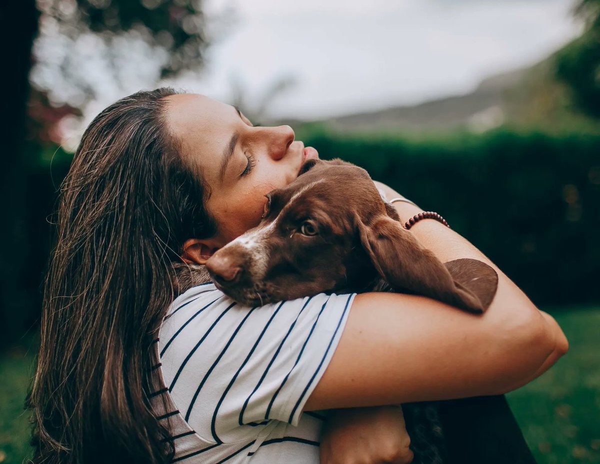 Almuoc's tweet image. Why Your Dog Likely Doesn't Care To Be Hugged.
buff.ly/3pwqLBv
 #doglover #dogbehavior #dogbehaviortraining
