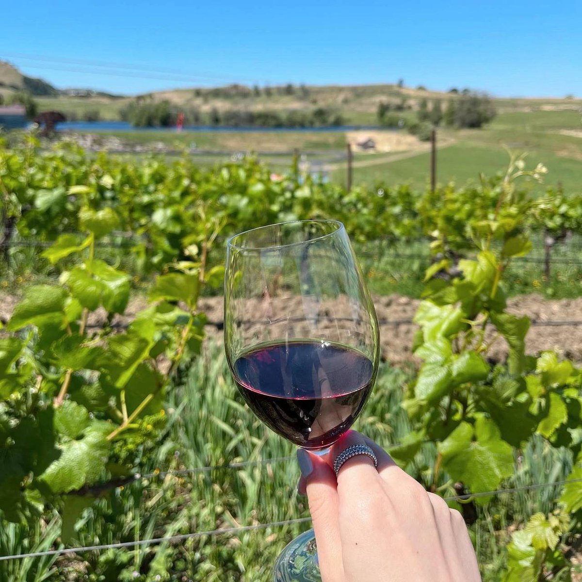or try to put all your worries out of your head and enjoy your Friday night 🥂.#wine #vin #vino #wein #winelover #winetime #winelife #wineoclock #winetasting #wineblog #timeforwine #winetimeanytime #wineforme #winemood #winestagram #winemoments #winemoment #winevibes #instawinelo