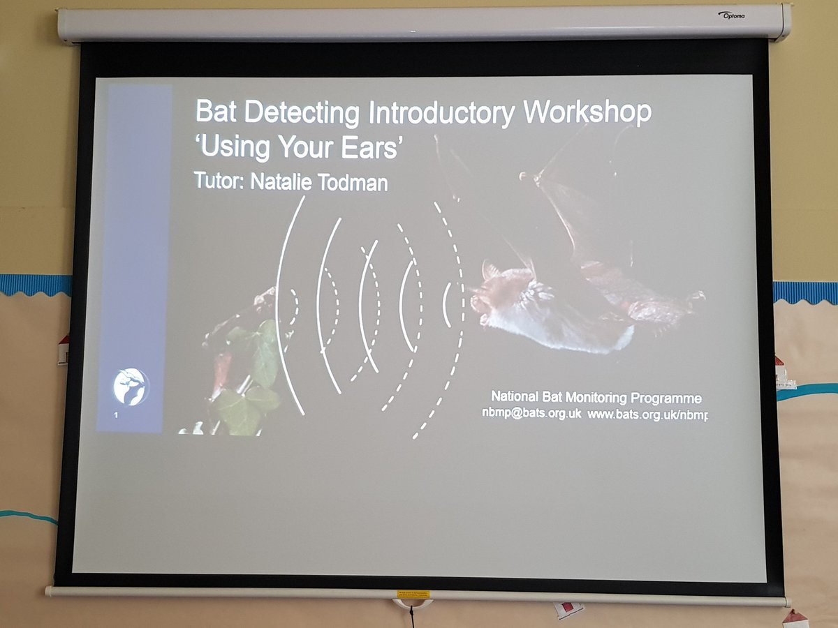 battybirder's tweet photo. All set up and ready for tonight's #UsingYourEars workshop. Training #volunteers in the #detector #skills they need to undertake field and waterway #surveys for the #NBMP.
#lovebats @BCT_NBMP https://t.co/VbcVKoakSx
