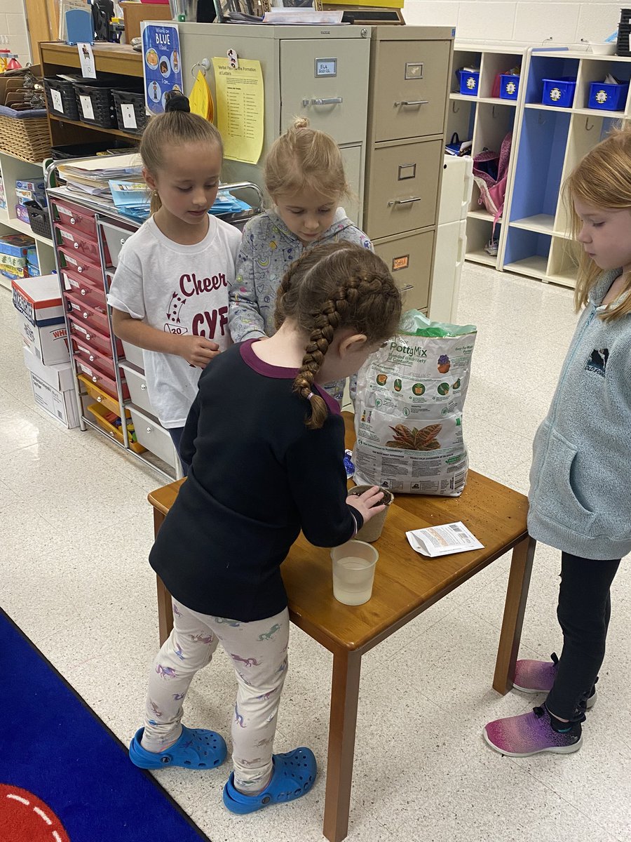 MrsGardnerKDG's tweet photo. The circle reading group presented How To Plant a Seed to the class! We all had a chance to plant a seed of our choice! https://t.co/nyixhqRP8U