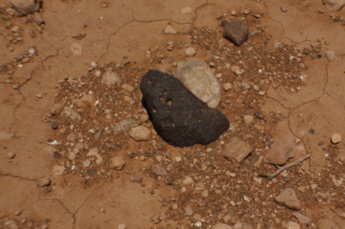 رشيد بونوارة (@rachid71874423) on Twitter photo 