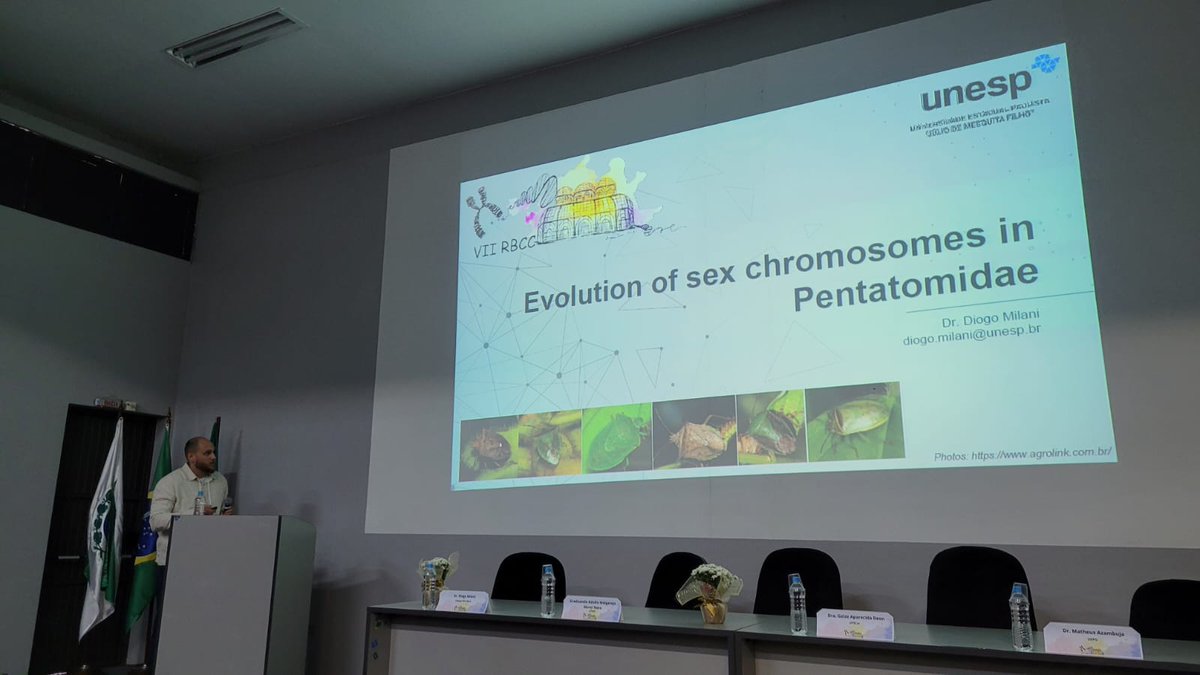Today, we are at the VII RBCC (Reunião Brasileira de Citogenética e Citogenômica) discussing the evolution of sex chromosomes in true bugs! @MilaniDiogo @ReuniaoE