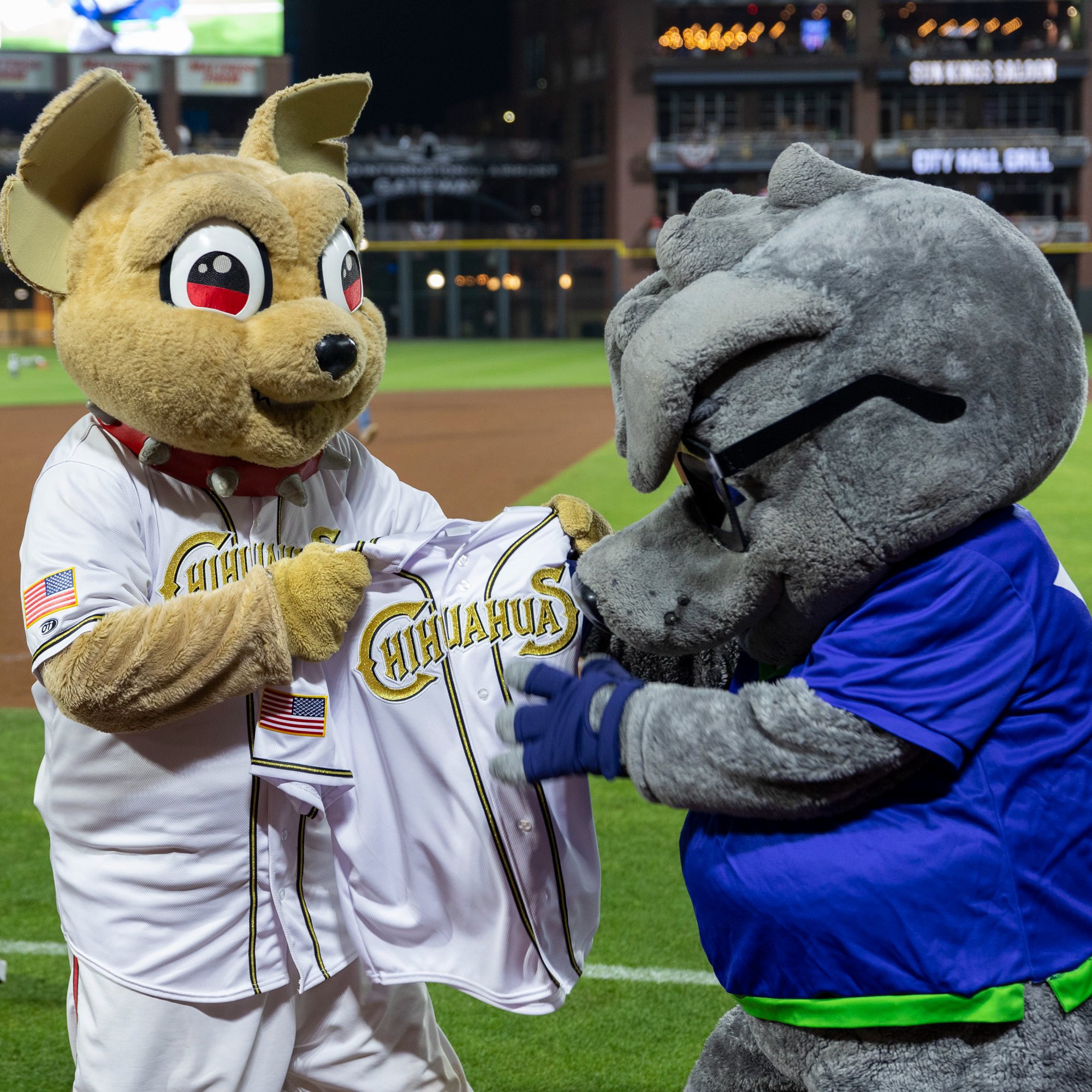 El Paso Chihuahuas on X: Help us wish Chico's BFF Dru Blue a