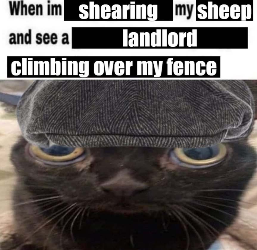 Ireland Posting (@ireland_posting) on Twitter photo 