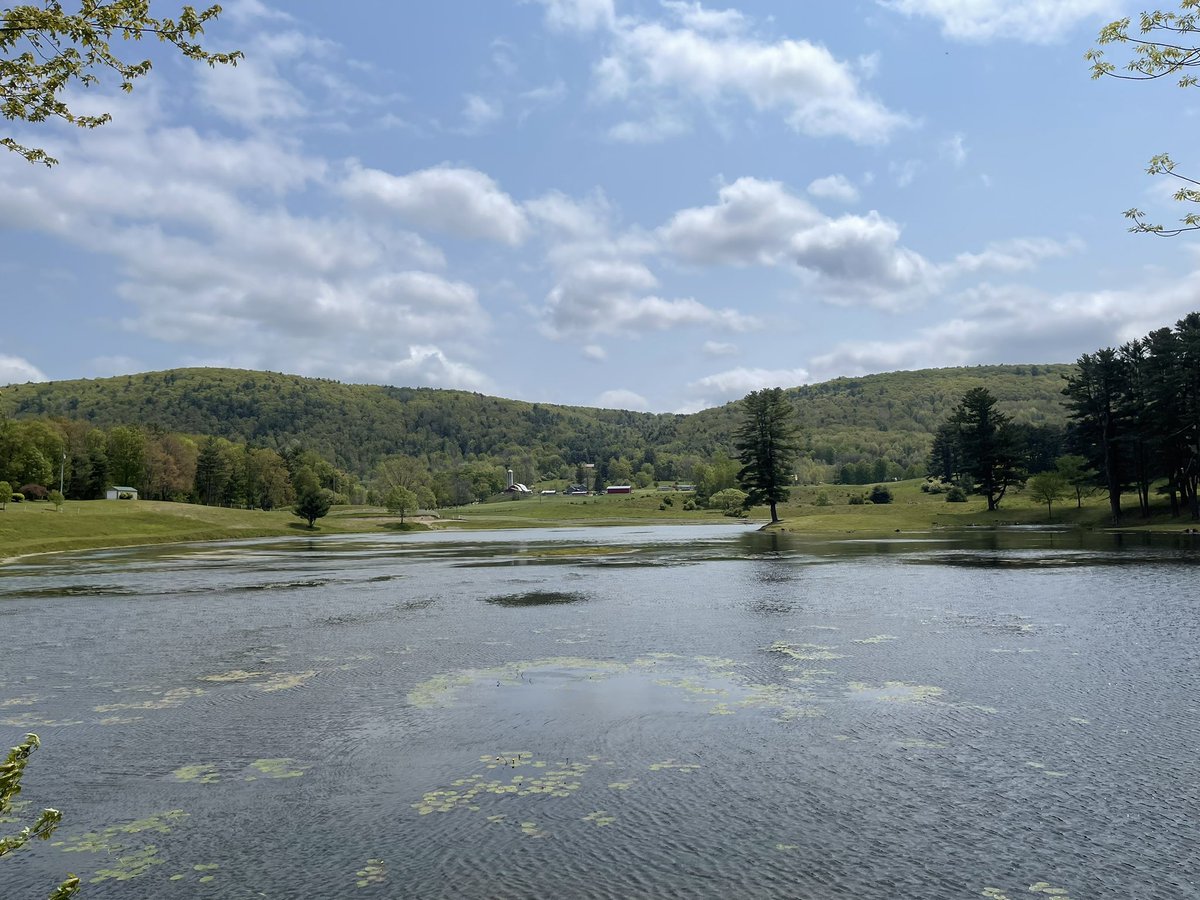 ItsBrotherDon's tweet photo. Gorgeous day out, went on the Rail Explorers in Cooperstown NY. Would highly recommend if you want a fun little trip up and down the rail tracks and too see some nice sights. https://t.co/G43IZ3rmrT