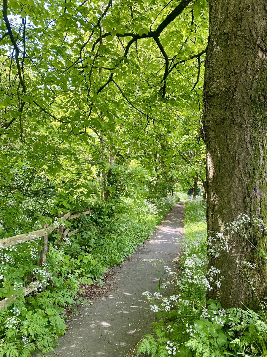 Four and a half bright and sunny miles today, just enough to push me over the 4️⃣0️⃣0️⃣ mile mark. 🌤 🥾 💪🏻 #walk1000miles <a href="/countrywalking/">Country Walking</a> @moreLancaster <a href="/VisitLancashire/">visitLancashire.com</a>