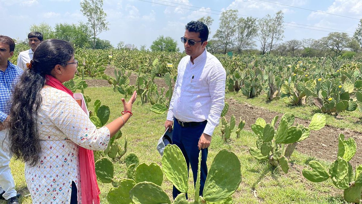 DrNehaTiwari4's tweet photo. Today Sh. Nitin Khade, Joint Secretary #MoLR visit @icarda-FLRP, fruitful discussion on #cactus cultivation and @biogas production from spineless cactus π΅ , @ShivKAgrawal #MoRD_GOI #mopr_goi https://t.co/JpZtAZgstT