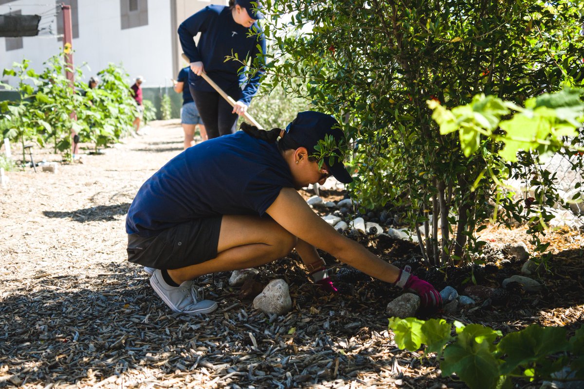 Get outside! It’s nice out! It will do wonders for your mental wellness! 

#MentalHealthAwarenessMonth