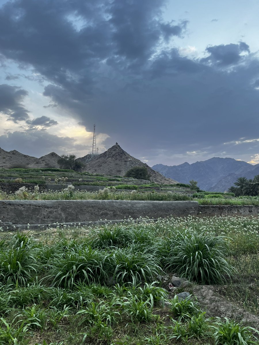 اللهم جنّة الفردوس لمَن اختفت اصواتهم ، لمَن تركوا الحنين في قُلوبنا ، اللهم إسقي قبورهم برحمتك وعفوك ، اللهم هب لهم بقدر دعاء الصالحين للأموات رضواناً .