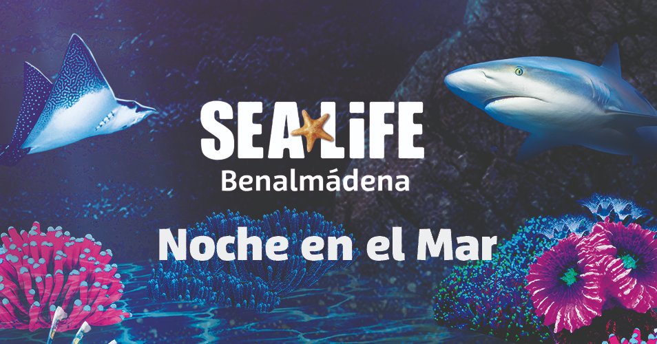 Un viaje de magia y color te espera en SEA LIFE Benalmádena. 🌙 Ya puedes visitar Noche en el Mar, toda una experiencia sensorial.

¡Te va a encantar! 🤩

Más info en sealife.es