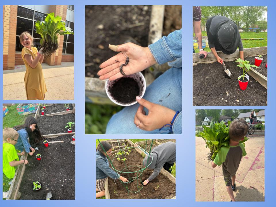 RiversideOtters's tweet photo. Tending to the Riverside Gardens. https://t.co/Clykwbh7Ag
