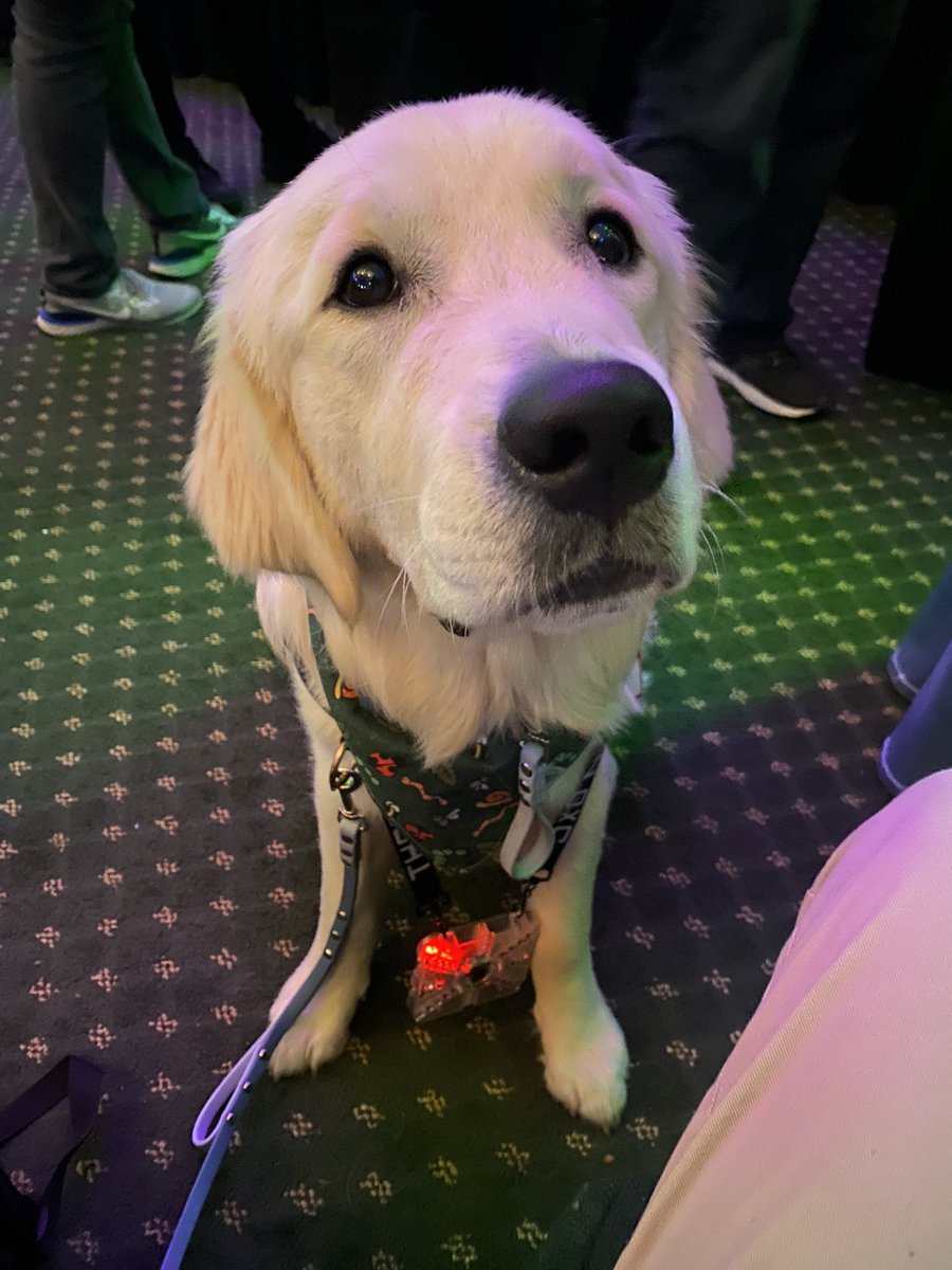 ejohnson99's tweet photo. Miller is enjoying @thotcon https://t.co/Gmwz5aiwfu