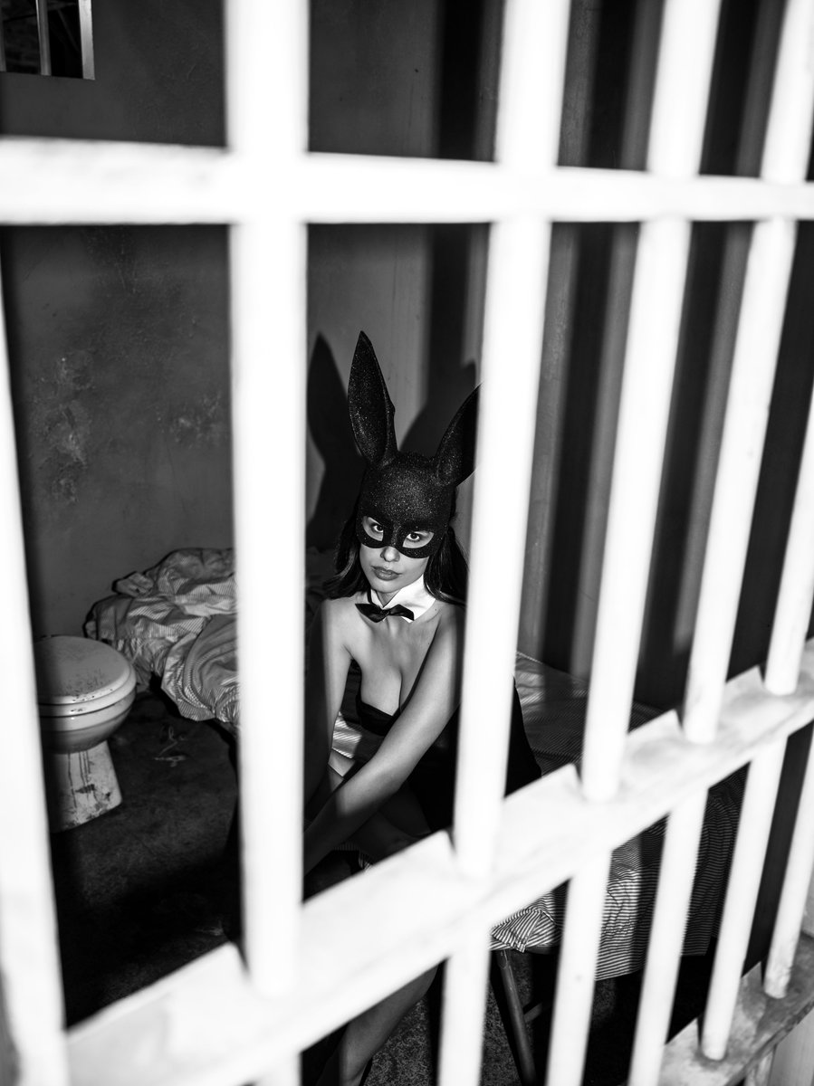 “Bad Bunny” 🐰🚔