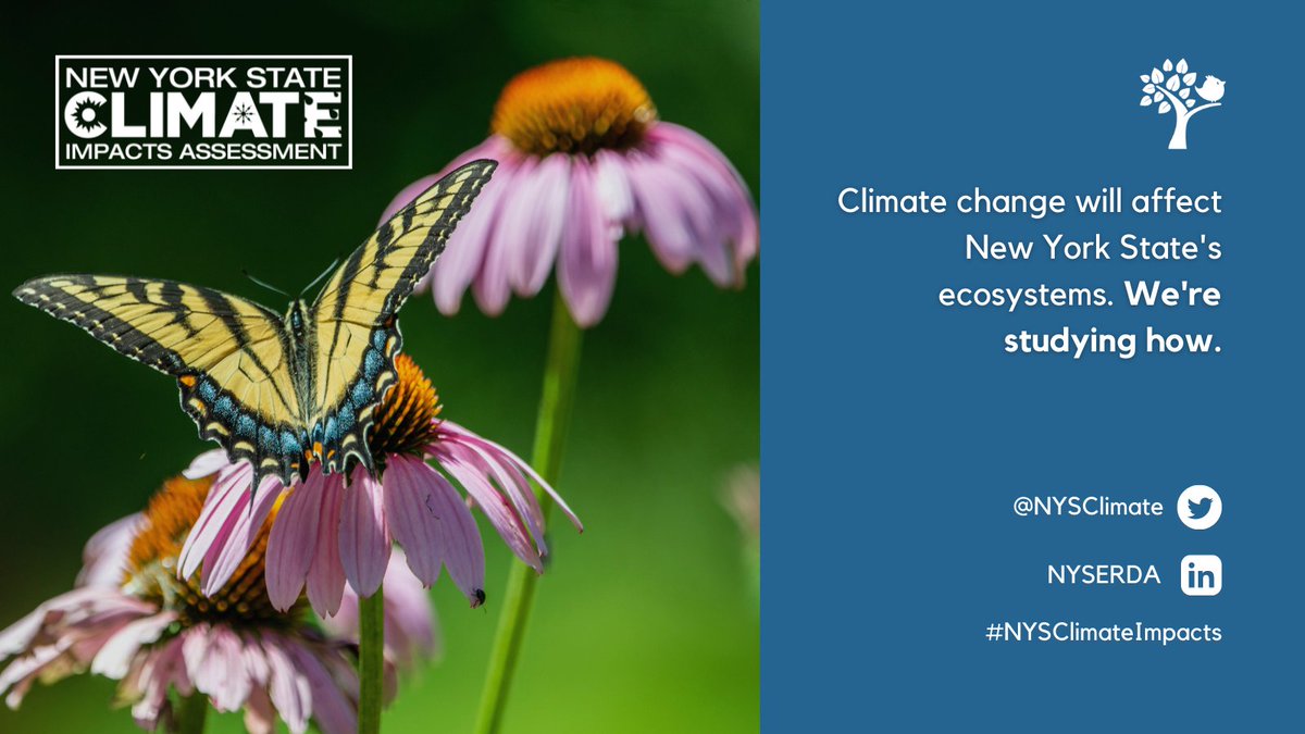 #NYSClimateImpacts experts are studying how #ClimateChange will affect the intricate balance of New York State's ecosystems and the services they provide, like healthy soil, clean water, and fresh air. See what our ecosystems workgroup has to say: bit.ly/3aPCJ2r