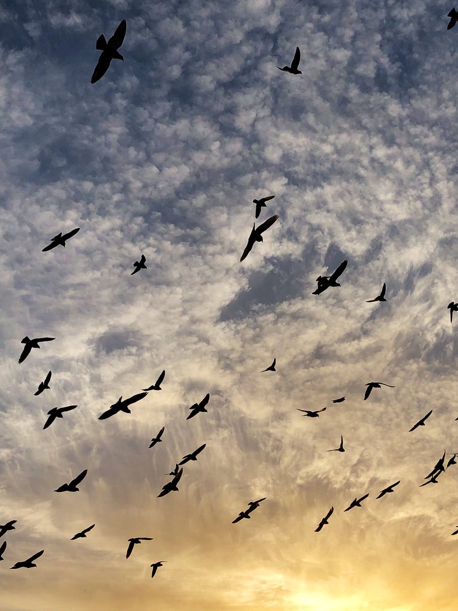 هدى (@huda_mohamed111) on Twitter photo 