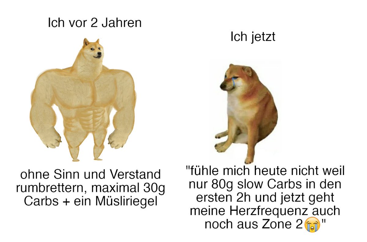 Standard_Genes's tweet image. 