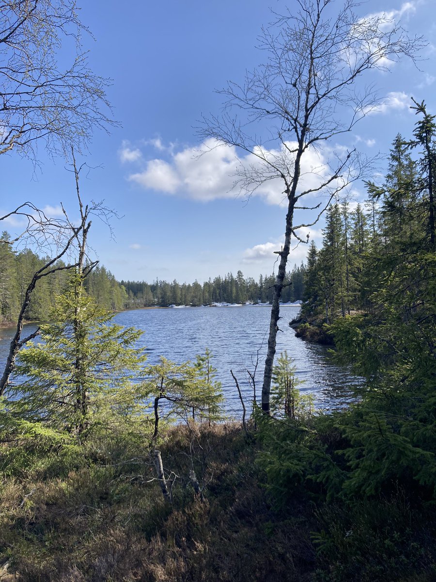 Guri Malla tweet media